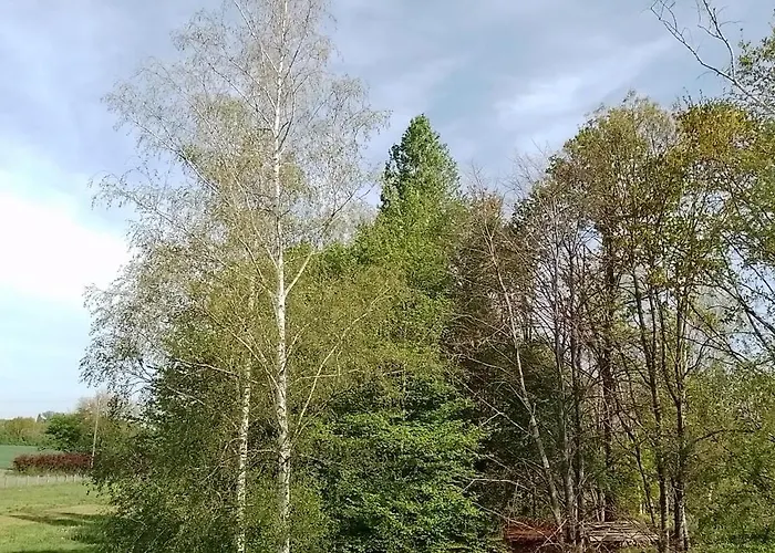Studio Privatif Pleine Nature