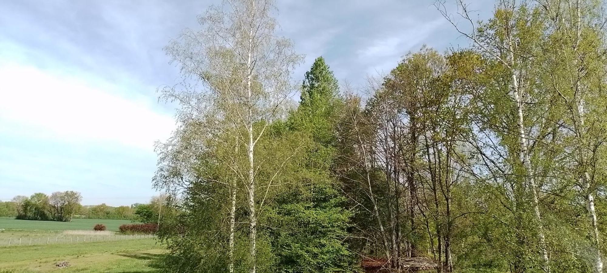 Privatif Pleine Nature *